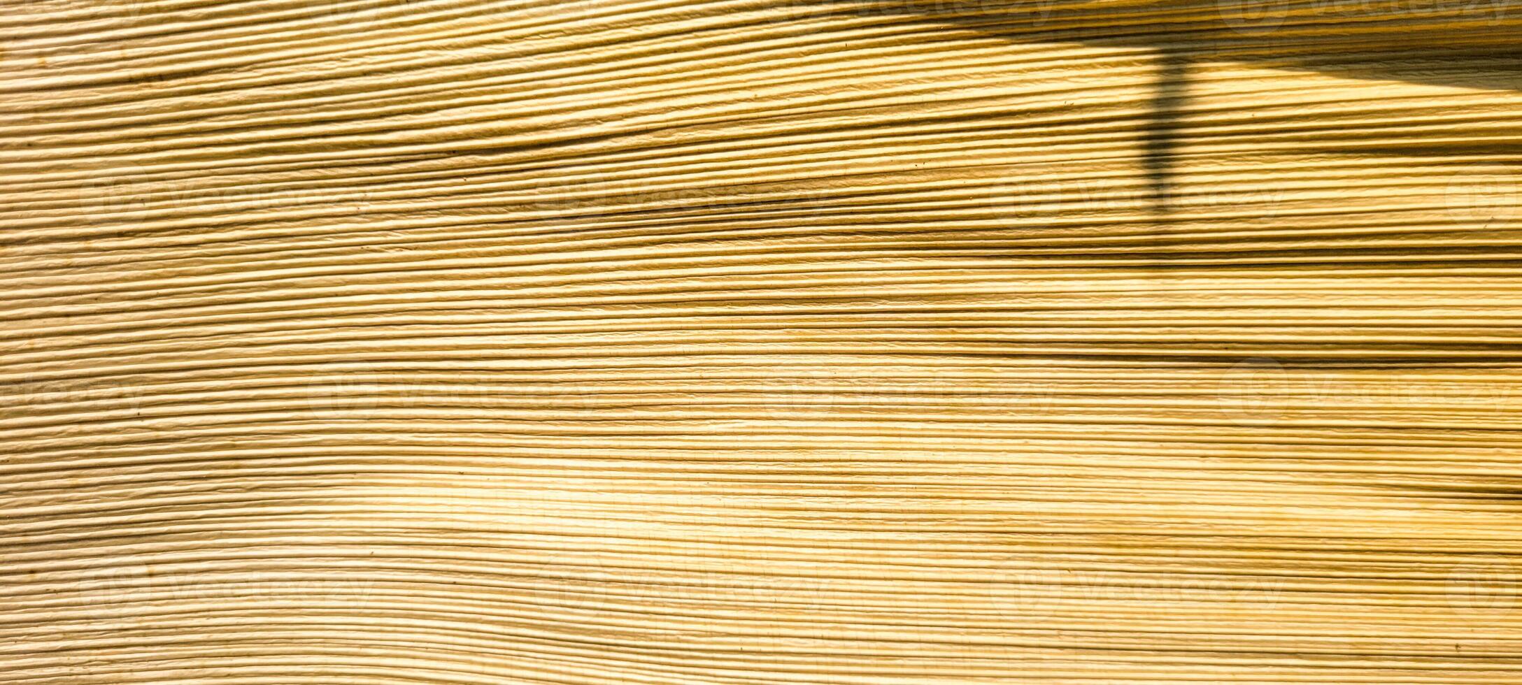 beige abstract background with texture photo