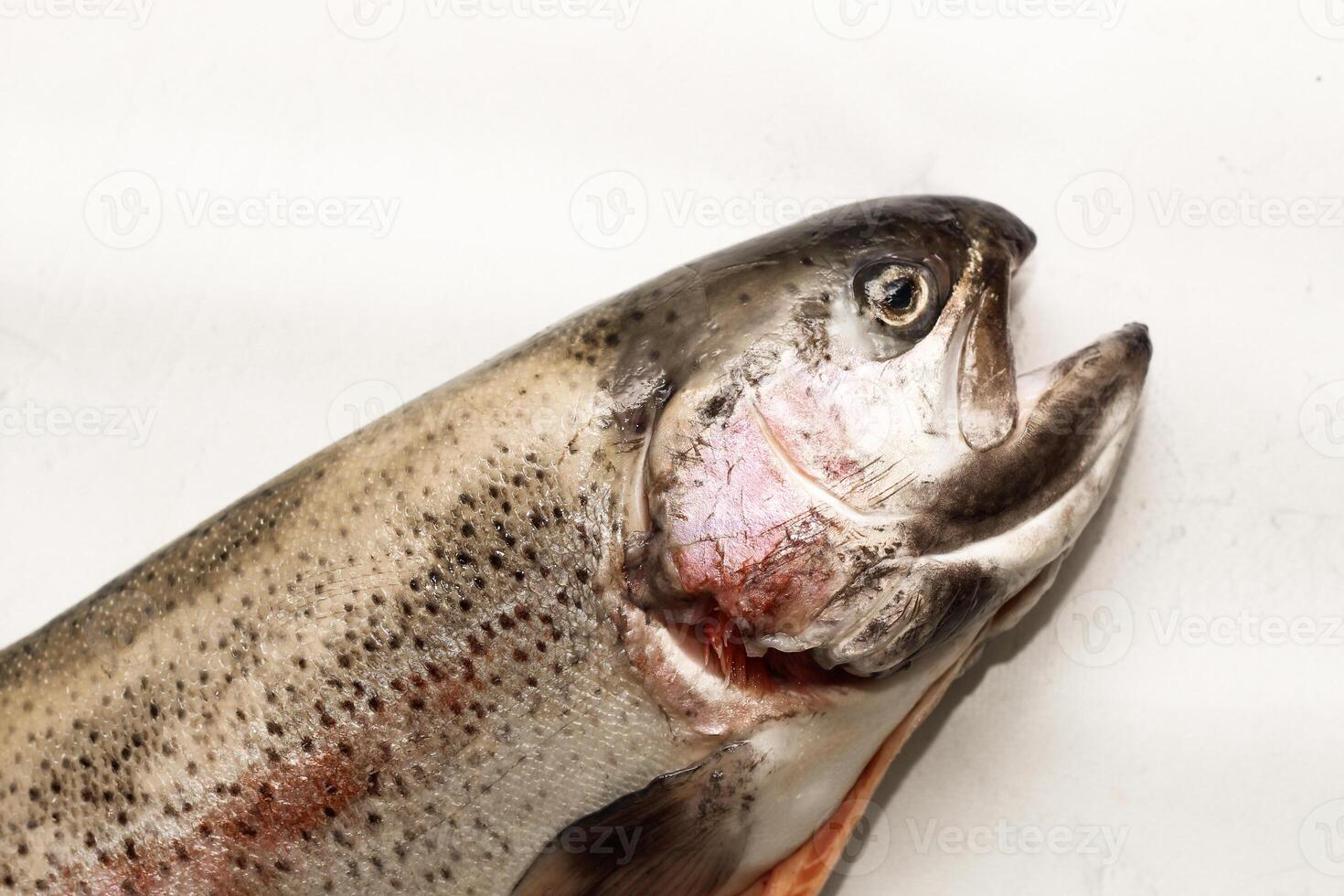 Fish red river trout, cleaning the scales, home cooking photo