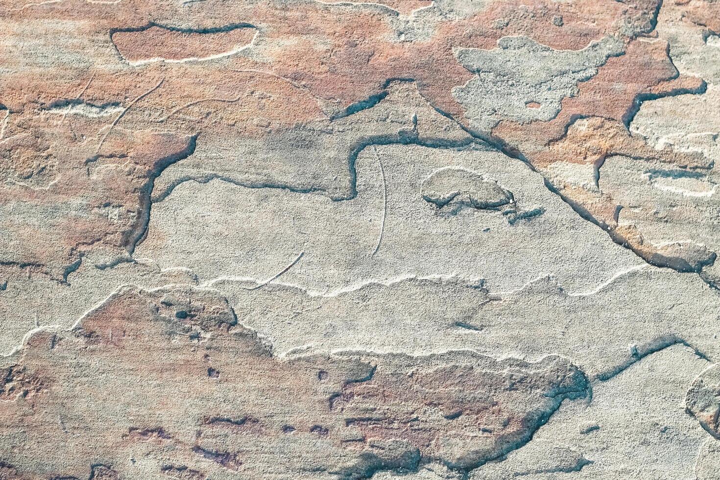 The texture of the gray plaster is textured close-up photo
