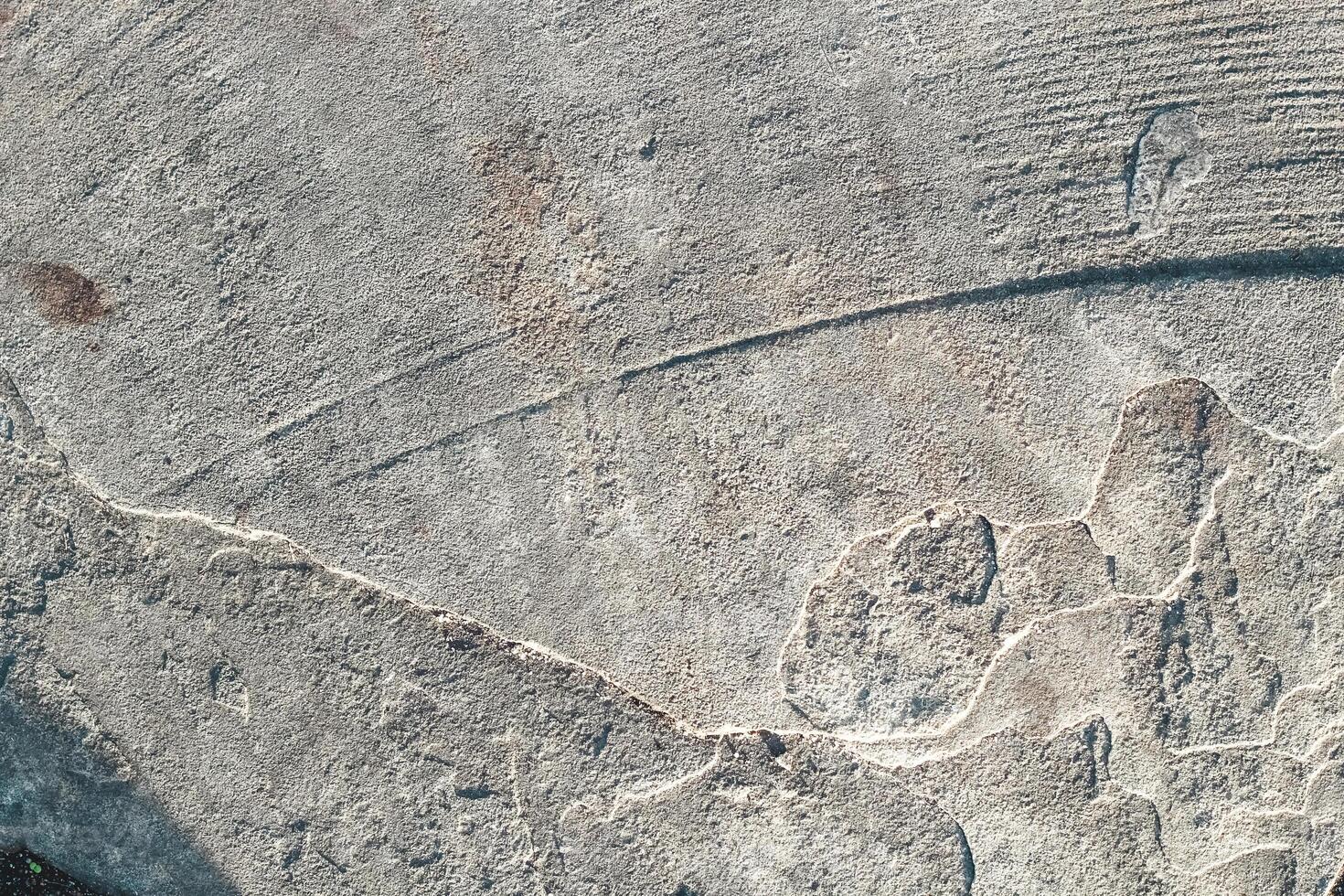 The texture of the gray plaster is textured close-up photo