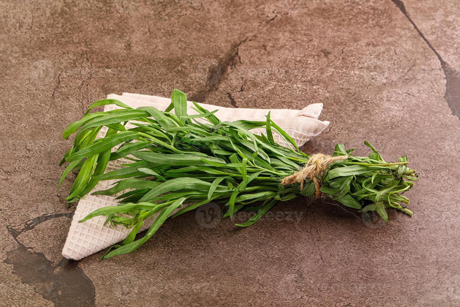 Green estragon branches for cooking photo