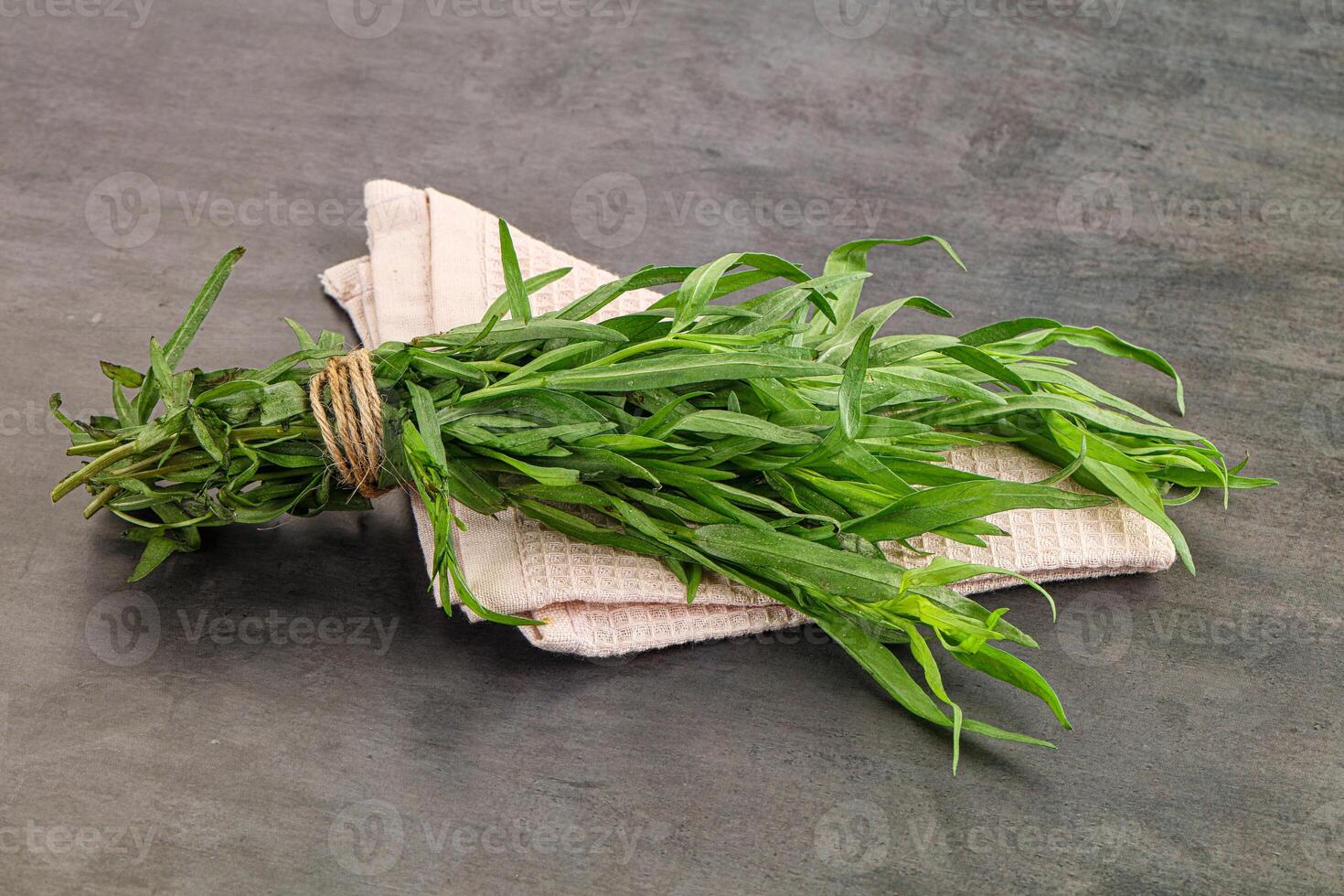Green estragon branches for cooking photo