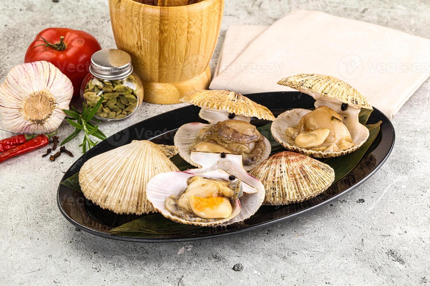 Raw fresh scallops in the shell photo