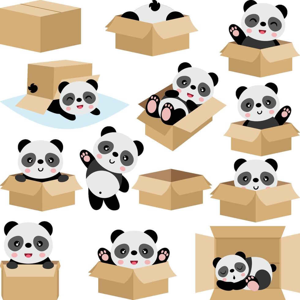Set digital collage of cute panda in cardboard box vector