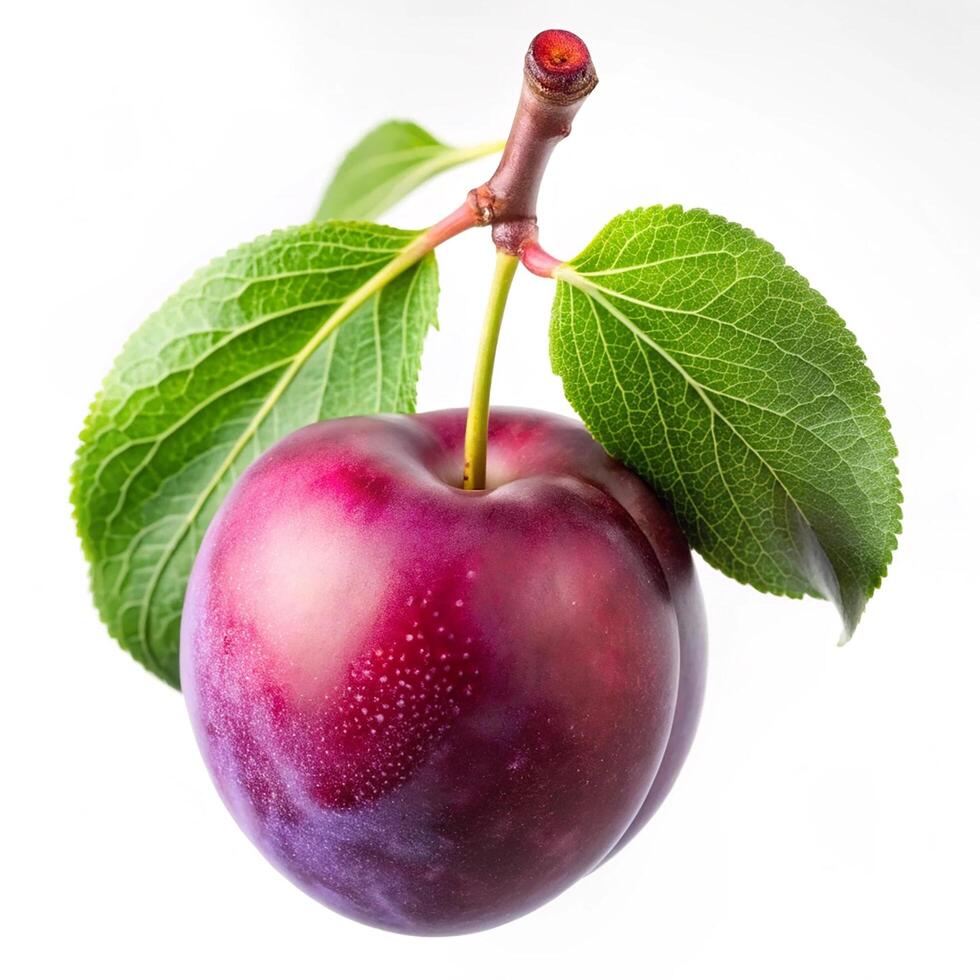 Fresh and Juicy Plum Fruit Photography photo