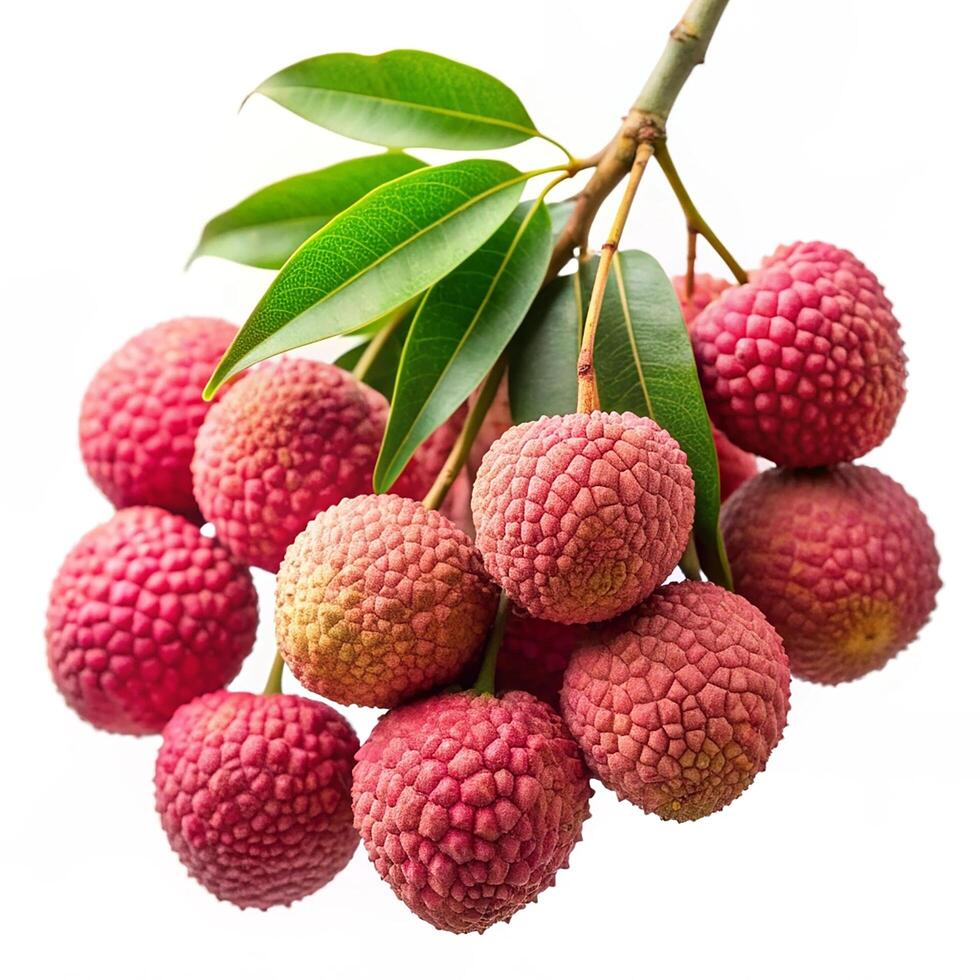 Lychee Delight, Nature's Juicy Jewel photo