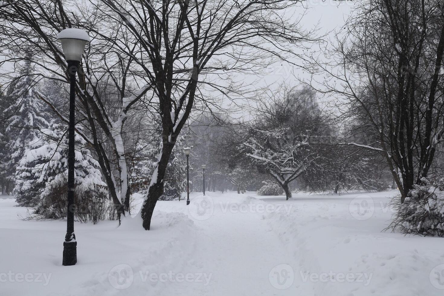 Winter and snowy city park beautiful landscape photo