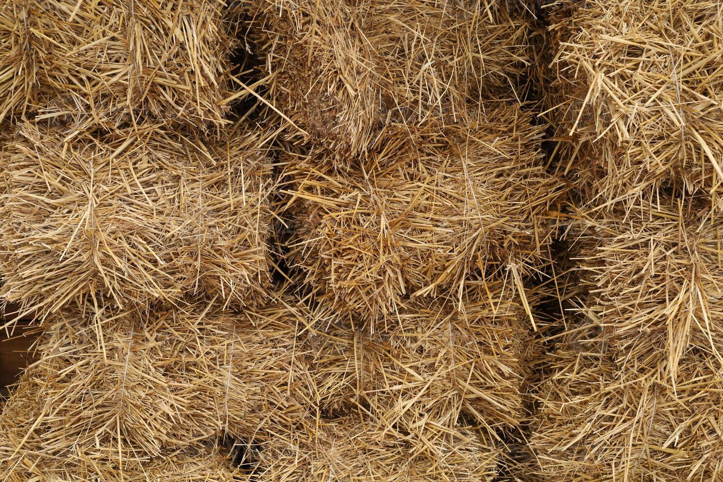 Bales of hay or straw as a rustic background photo