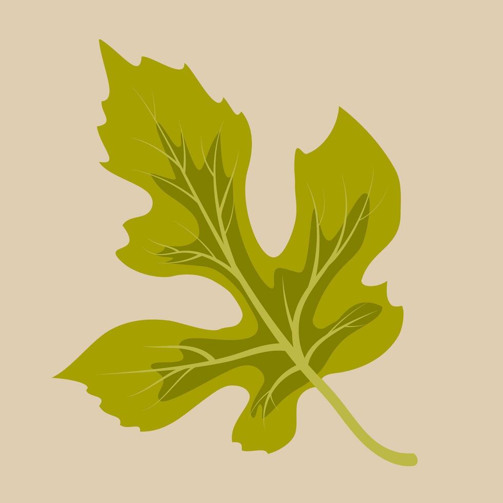 Autumn oak leaf. Decorative autumn foliage. Template for illustrations vector