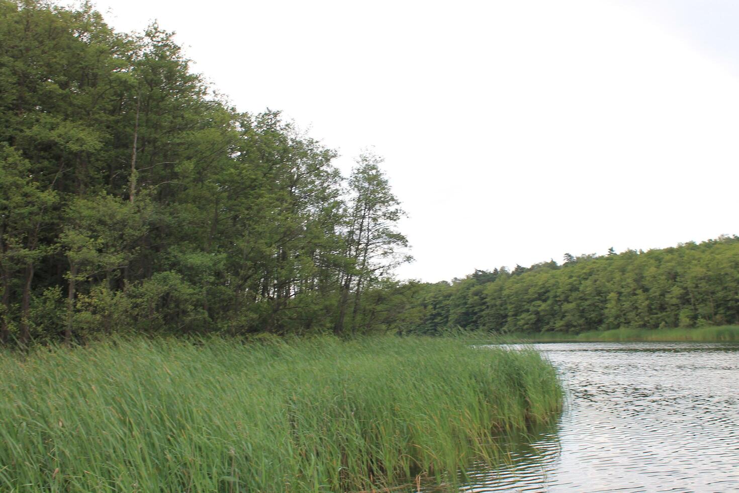photo with a water theme