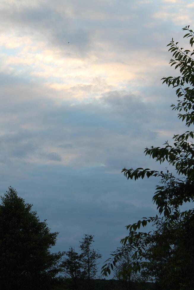 photo with natural theme