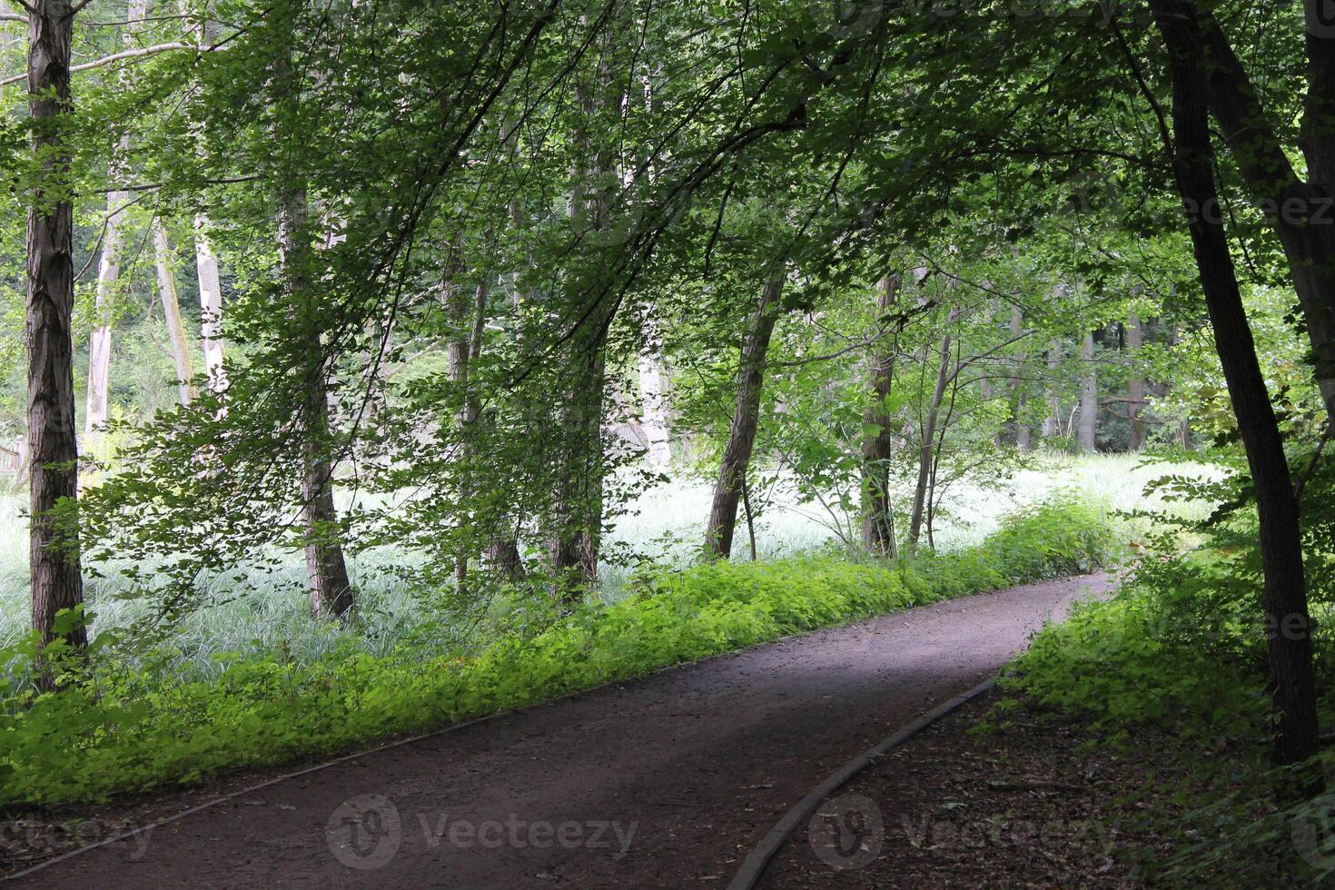 photo with a bright path