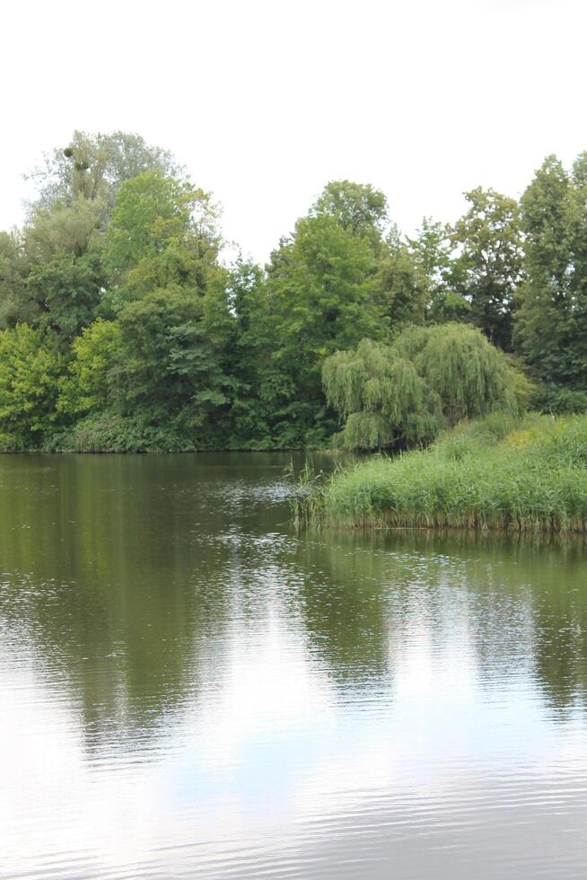photo with nature theme