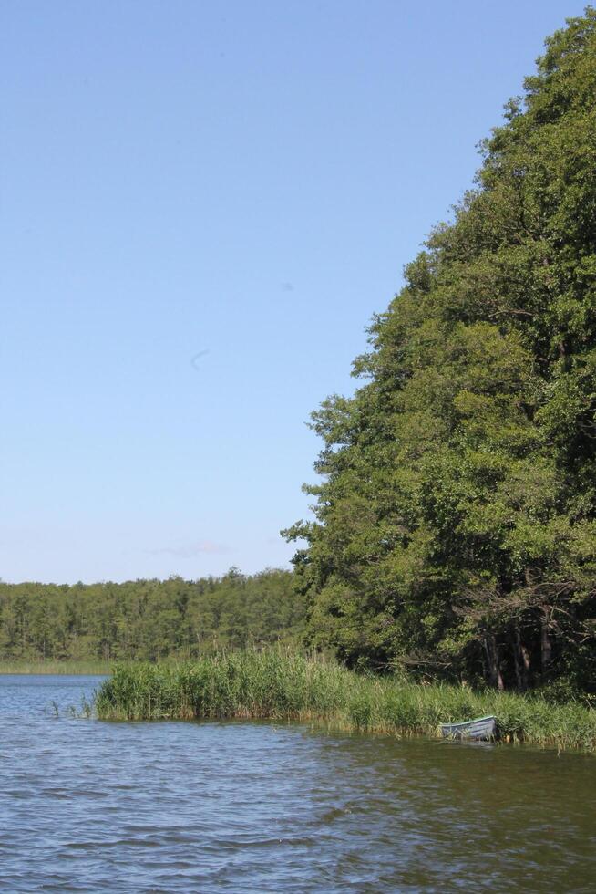 photo with nature background