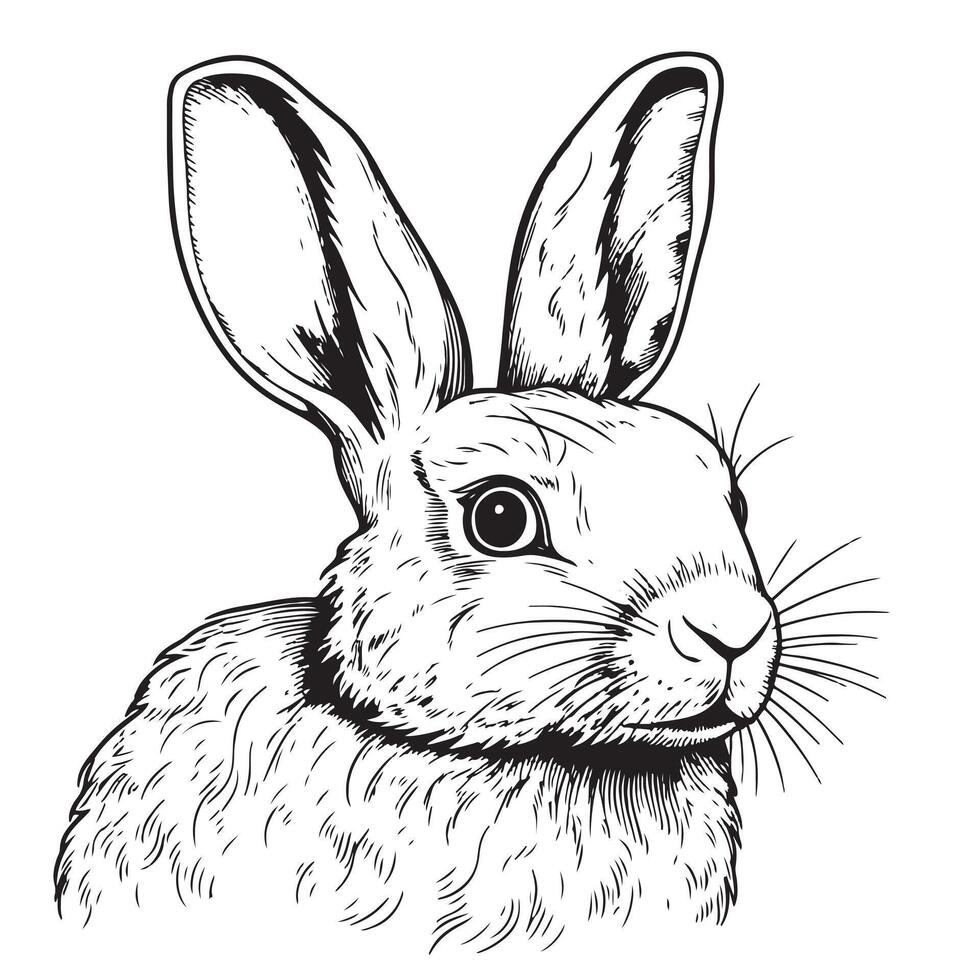 Hand-drawn portrait of cute rabbit. Easter bunny, sketch. illustration vector
