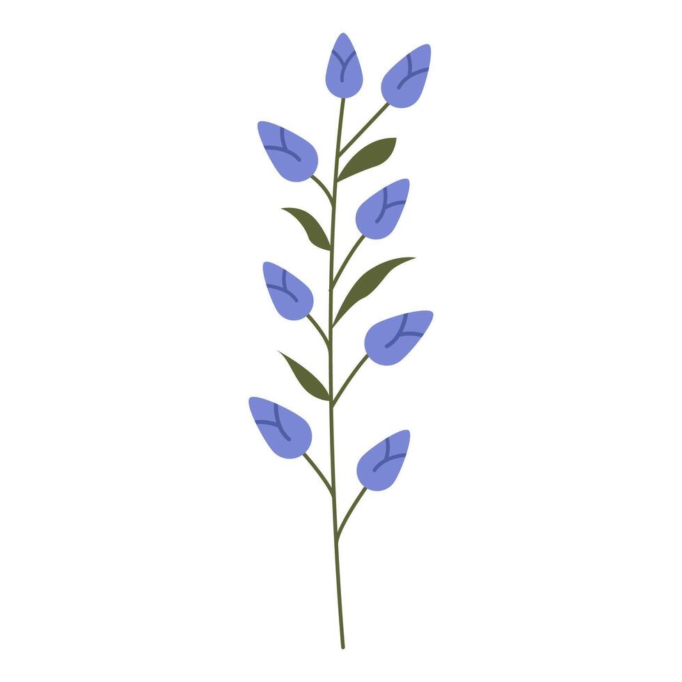 Wild flower illustration isolated on white background. vector