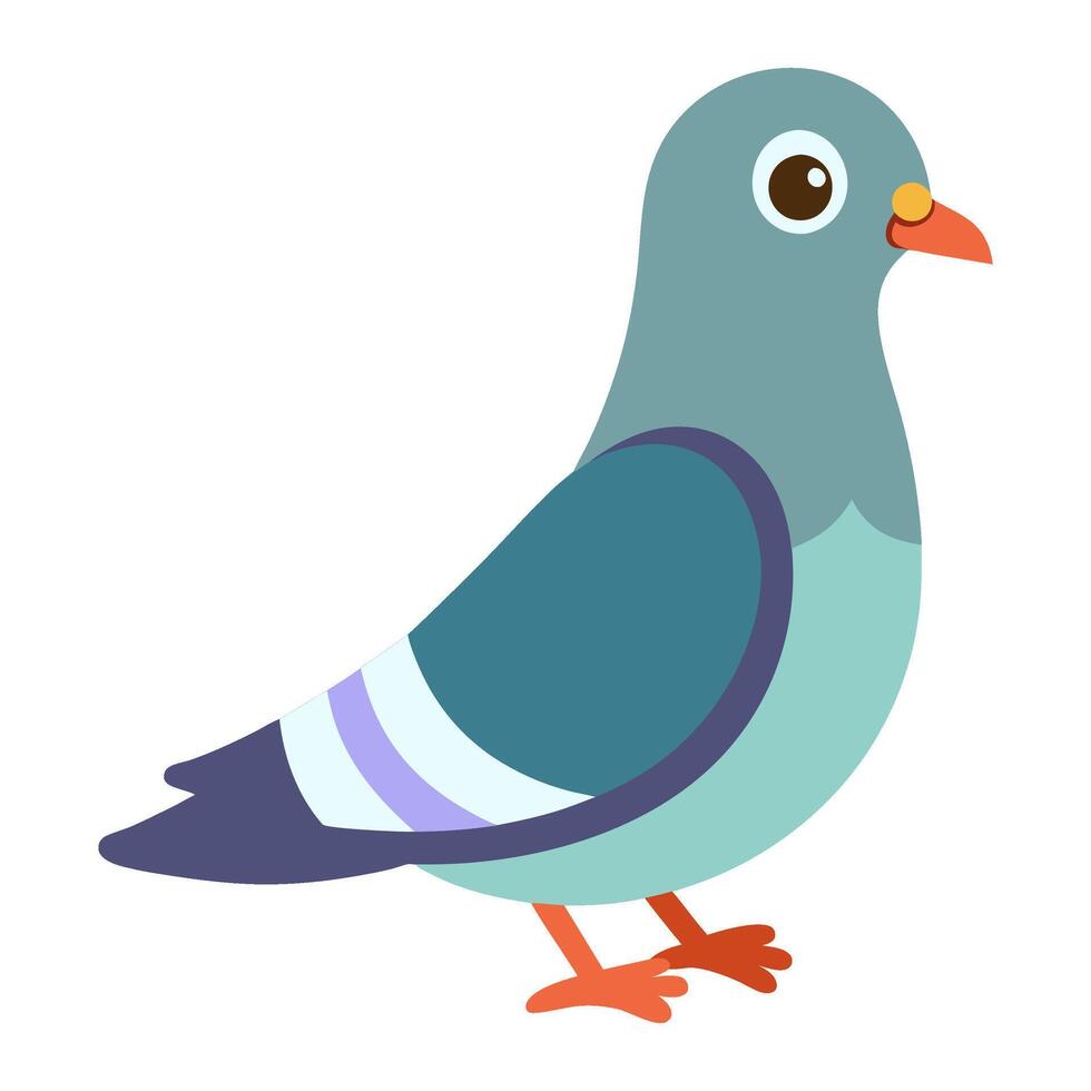 pigeon, cute bird isolated on white background flat style illustration vector