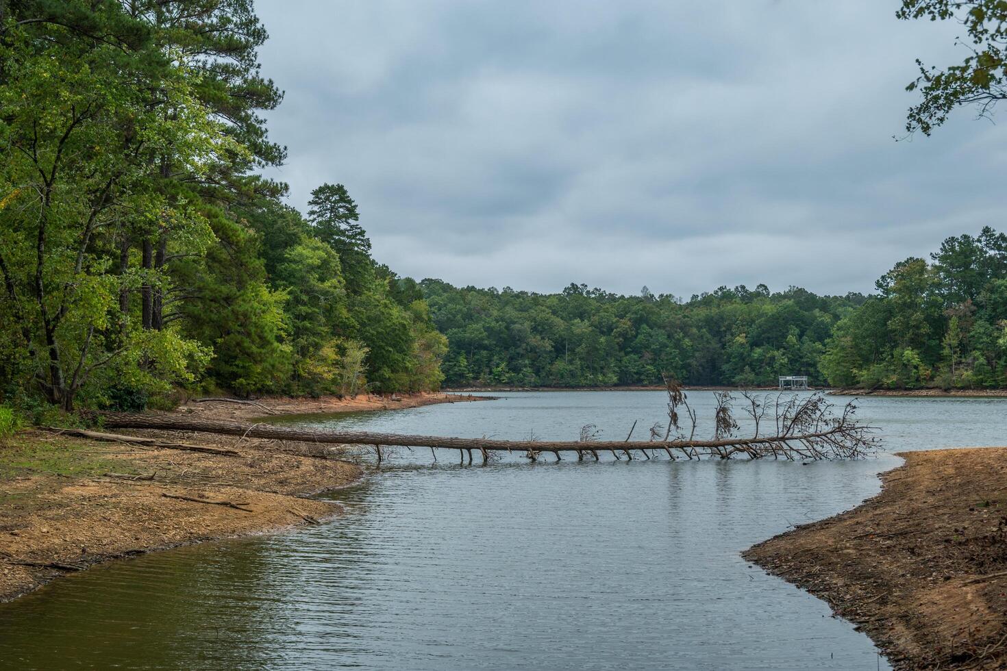 Low lake levels photo