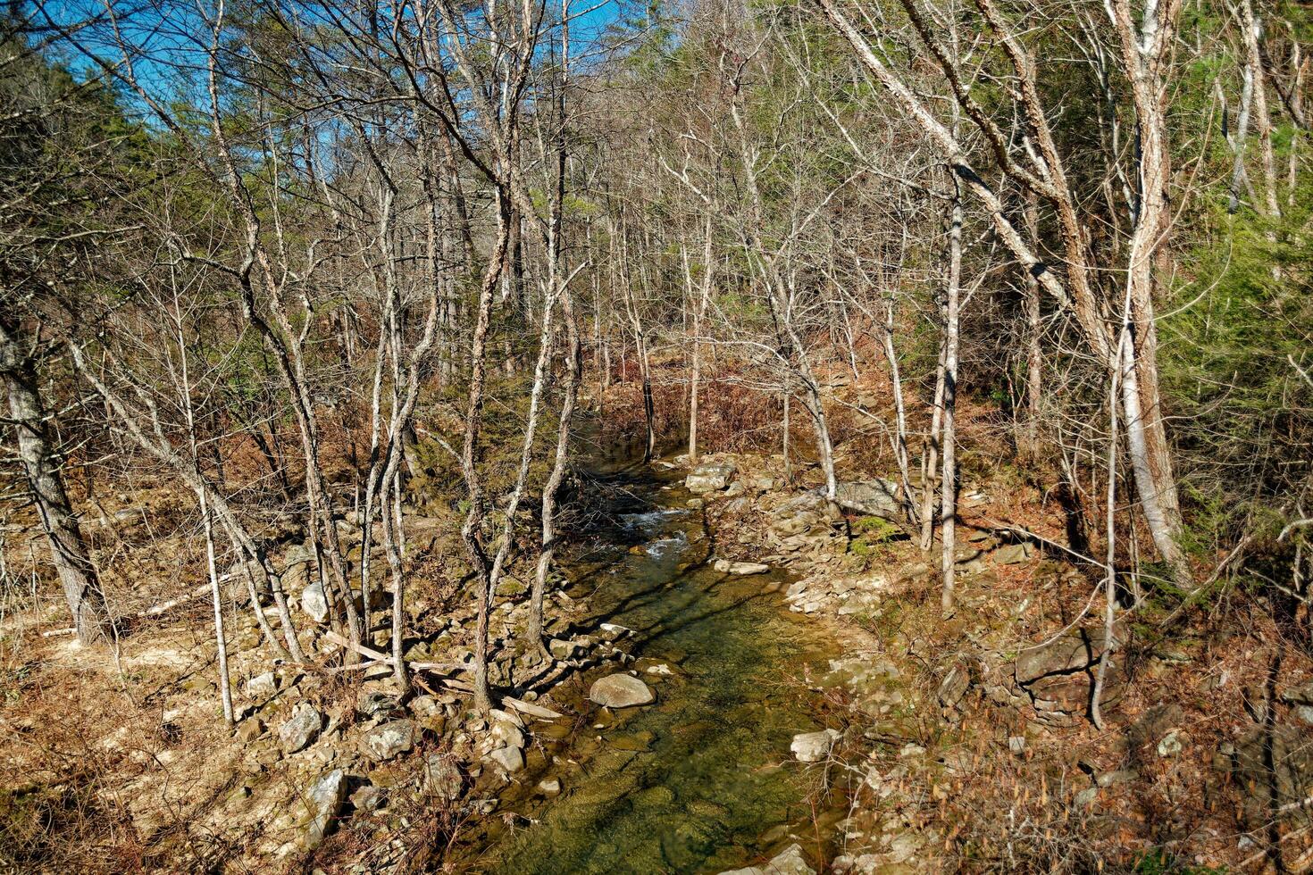 Looking down at the creek photo