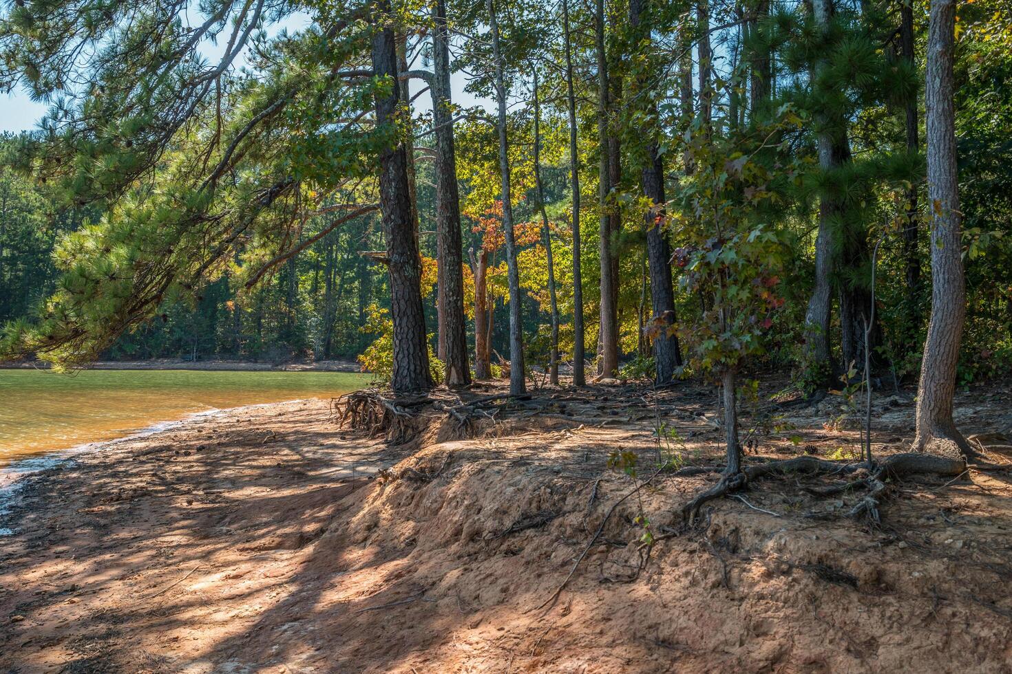 Lake erosion along the shoreline photo