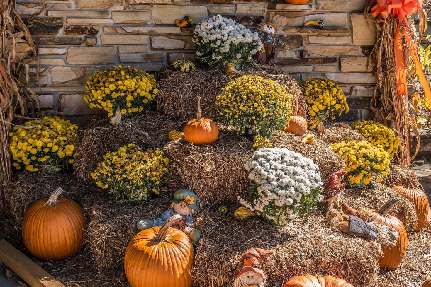 Autumn decoration display outdoors photo