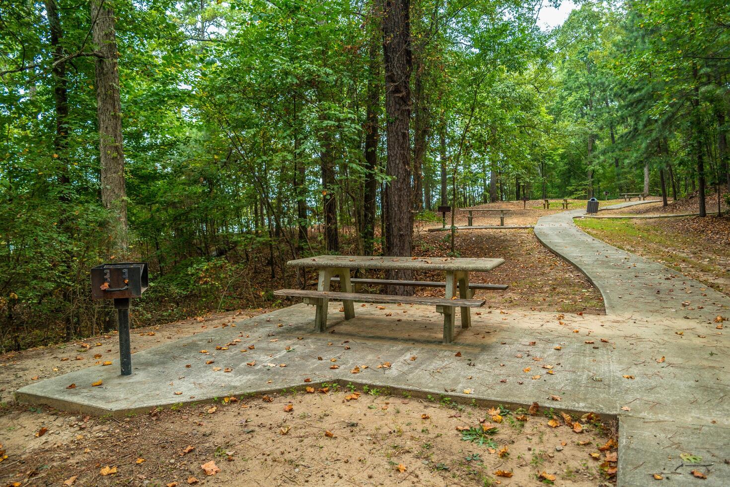 Empty picnic area in the park photo