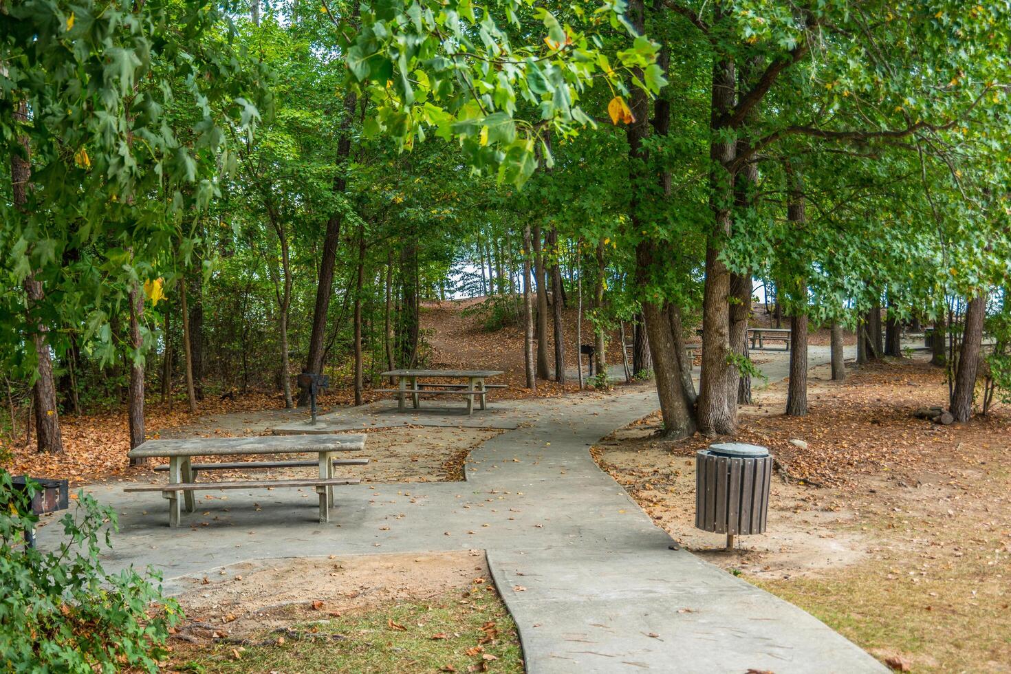 Picnic area at the lake photo