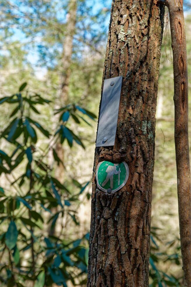 Trail markers in the forest photo