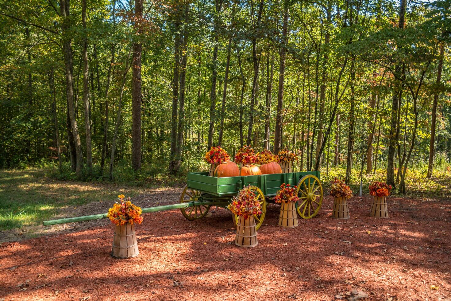 Autumn decoration display outdoors photo