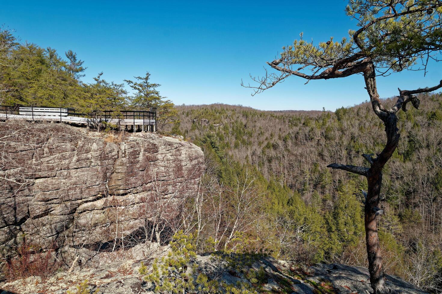 The overlook at Lilly bluff in Tennessee photo