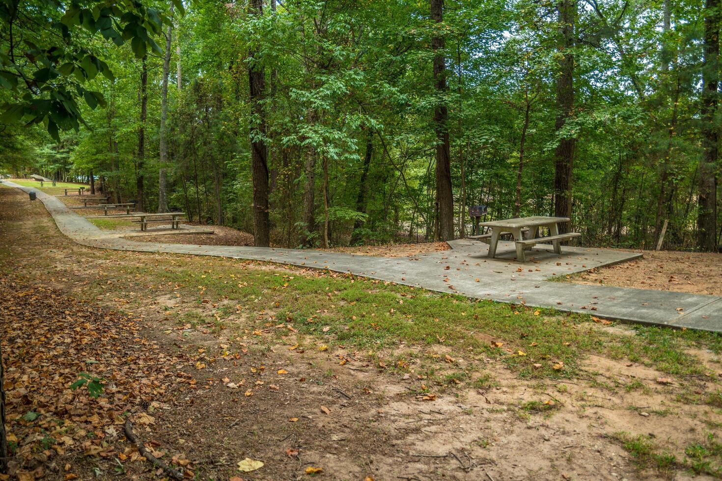 Empty picnic area closed in the park photo