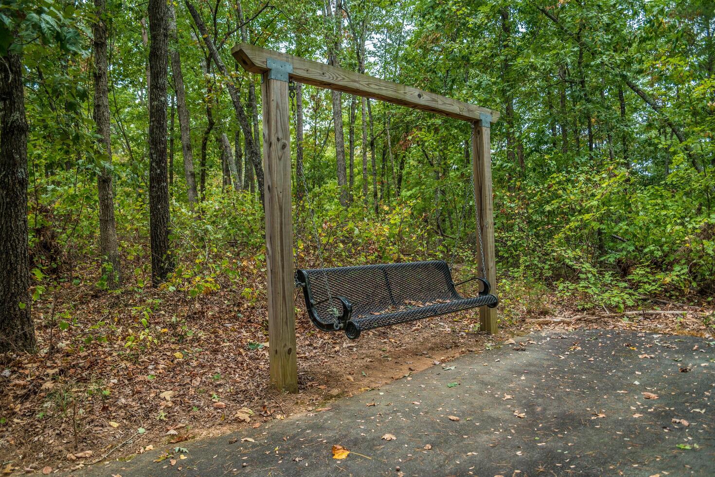 Swinging park bench in the woods photo
