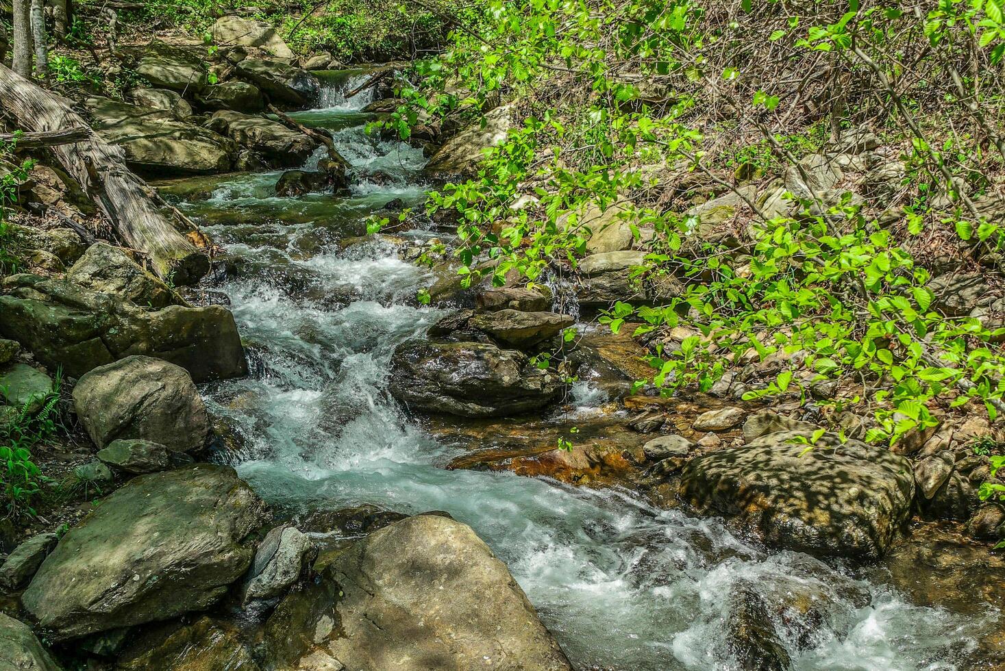 Stream flowing down the mountain photo