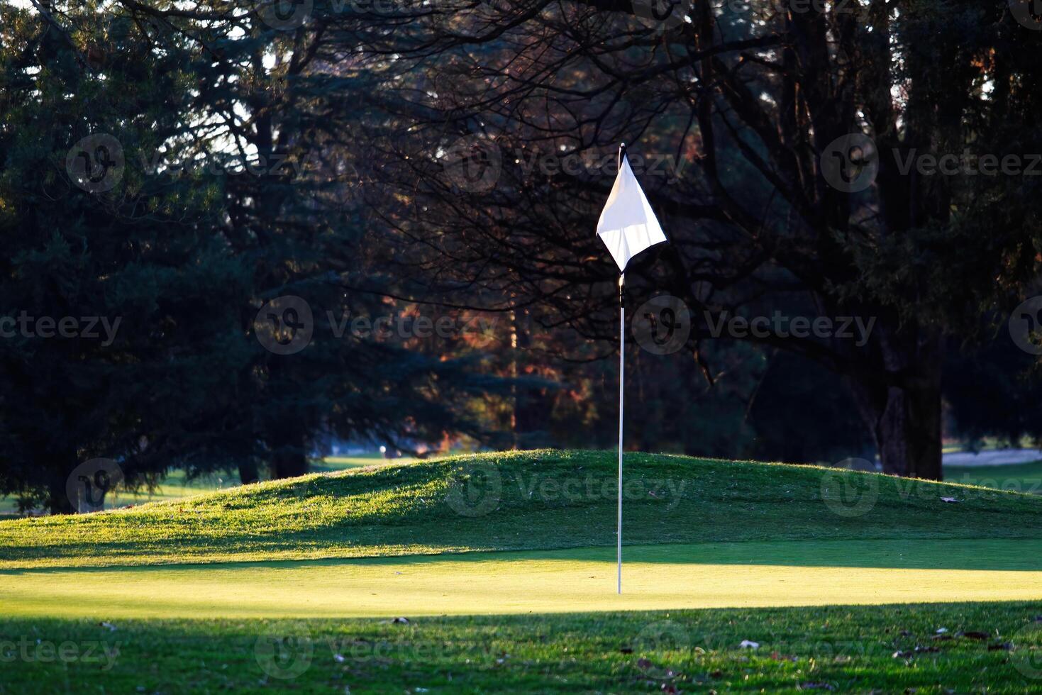 Golf Green With White Flag In Hole Trees In Background photo