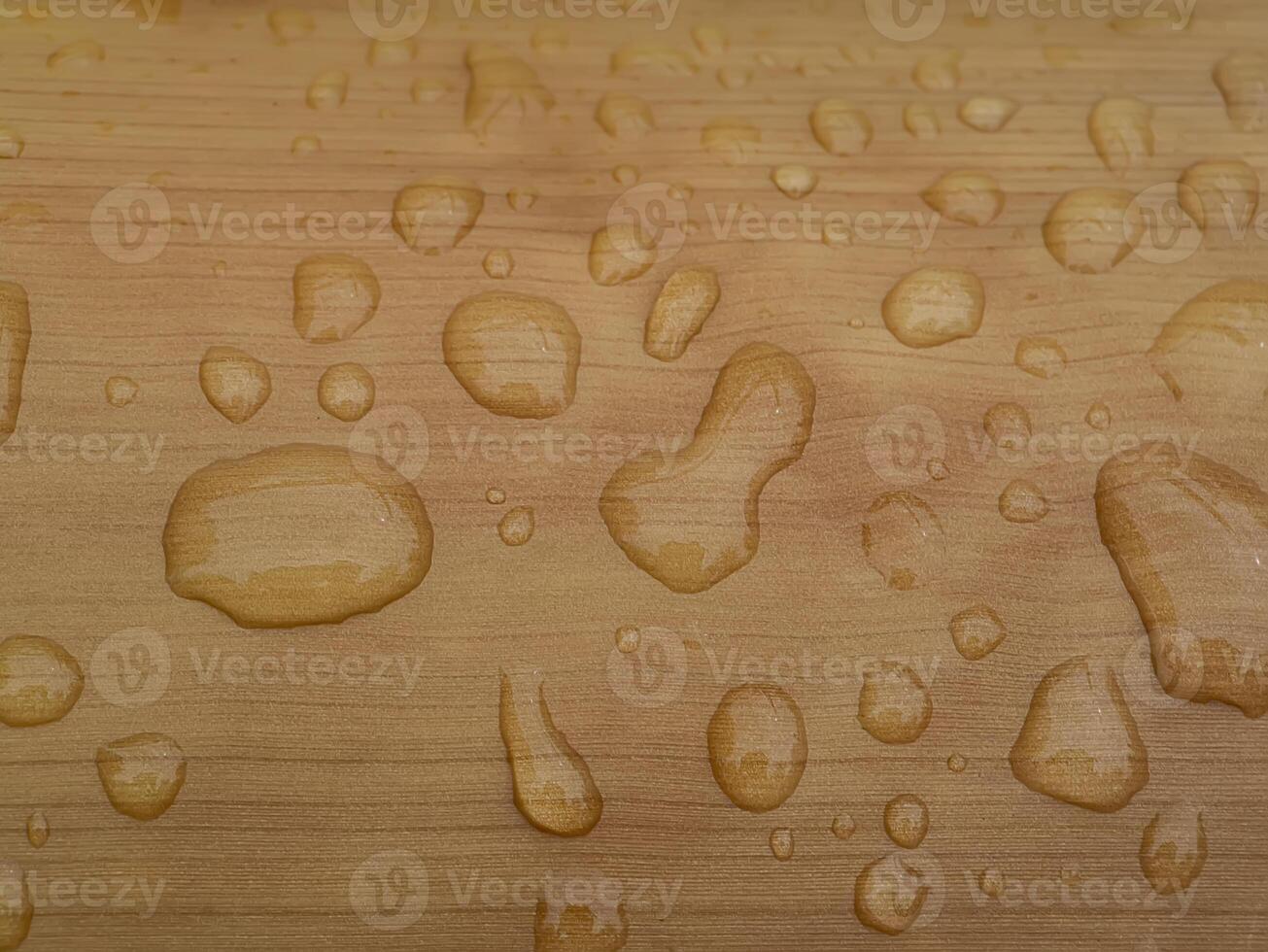 Macro image, Close up water on the wooden bark. photo
