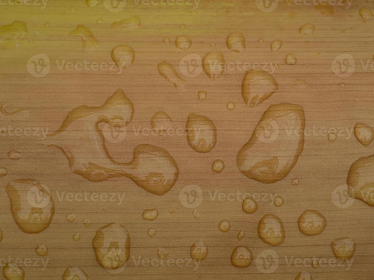 Macro image, Close up water on the wooden bark. photo