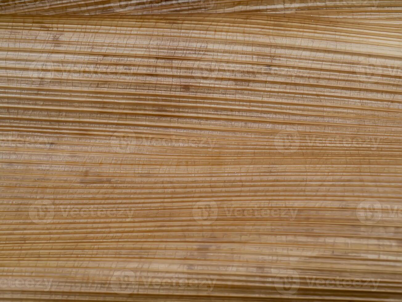 Close up bark of palm tree background. photo