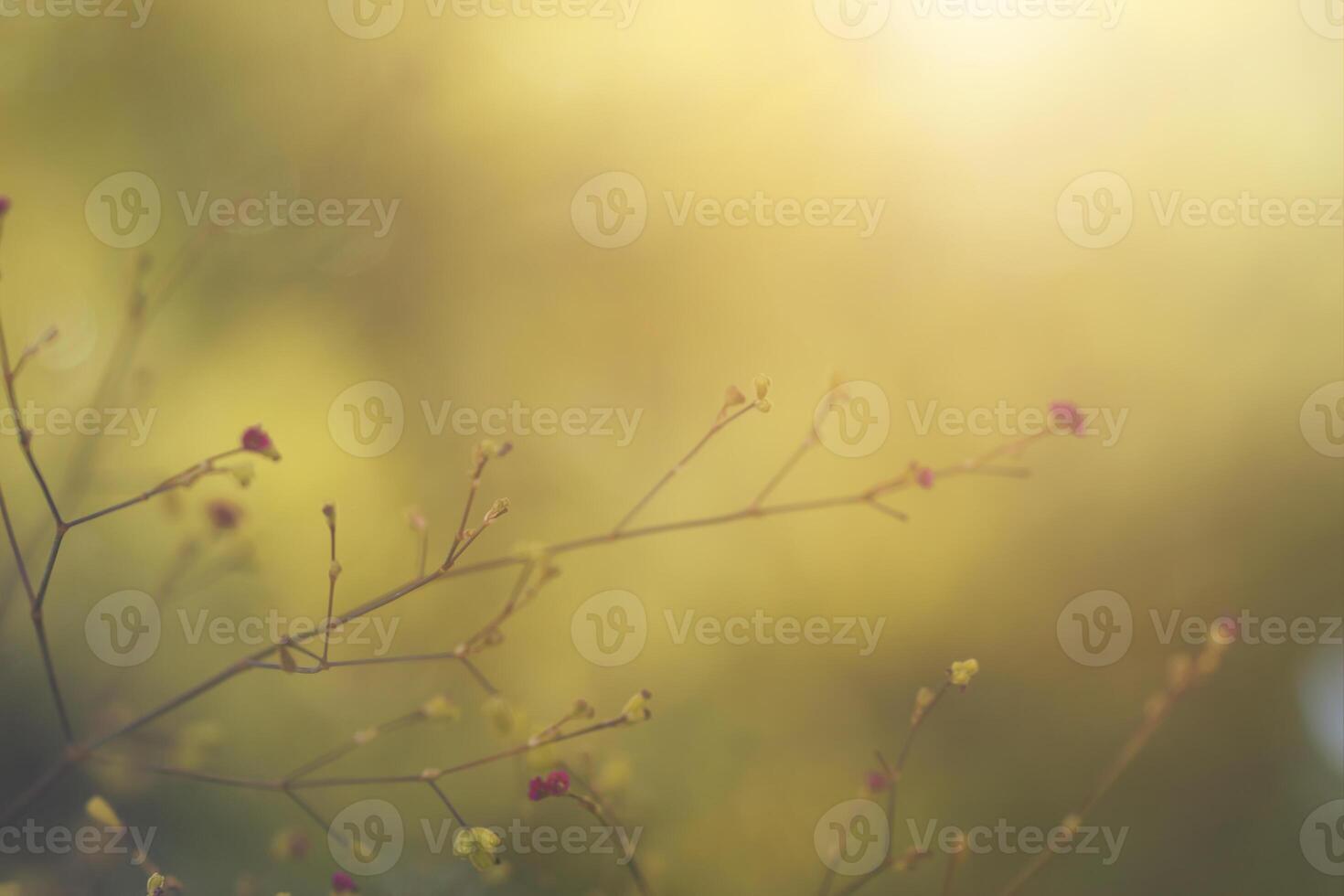Close up small flower grass on branch with blur background. photo