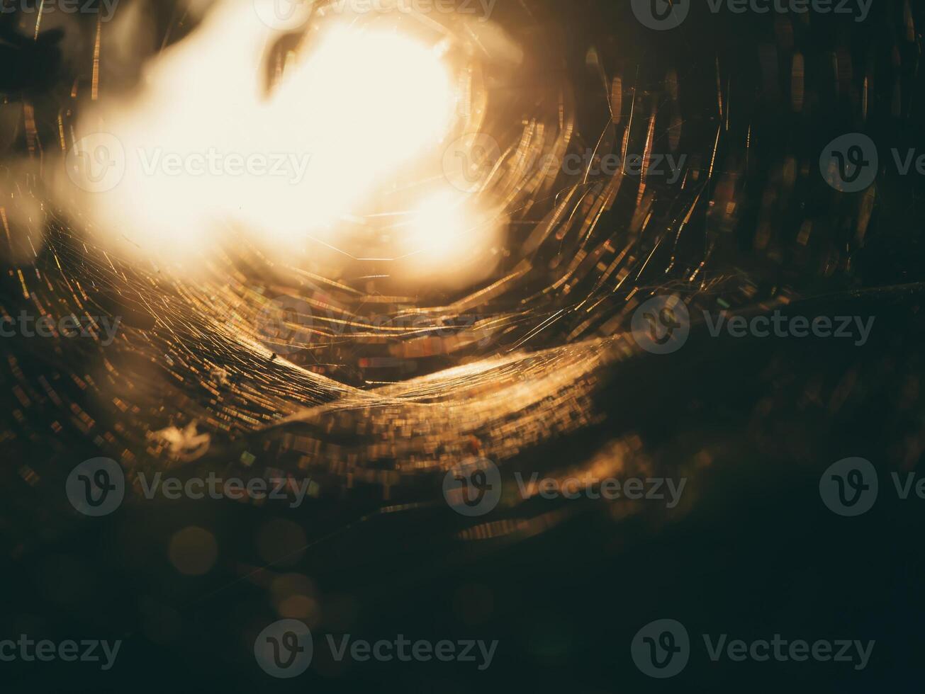 Macro spider web on daek background with sunlight. photo