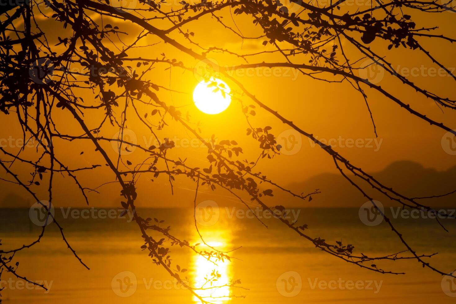 Silhouette branch with sunset sky at the lake background photo