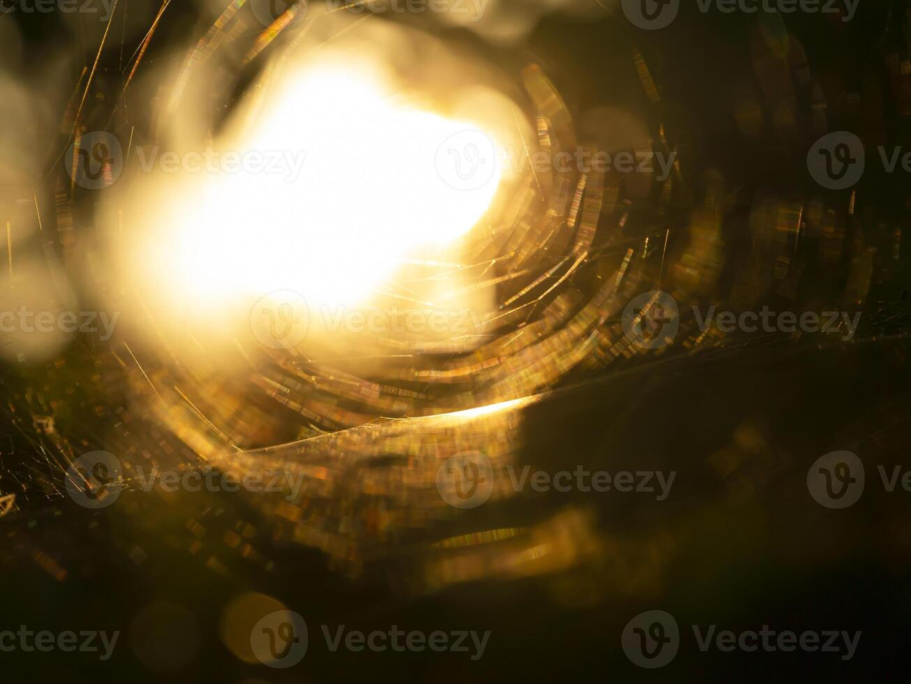 Macro spider web on daek background with sunlight. photo