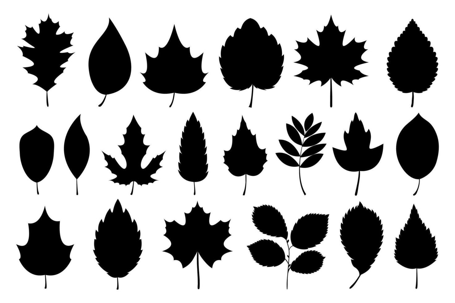Black autumn leaf silhouettes collection. Fall leaves foliage silhouettes isolated on white background vector