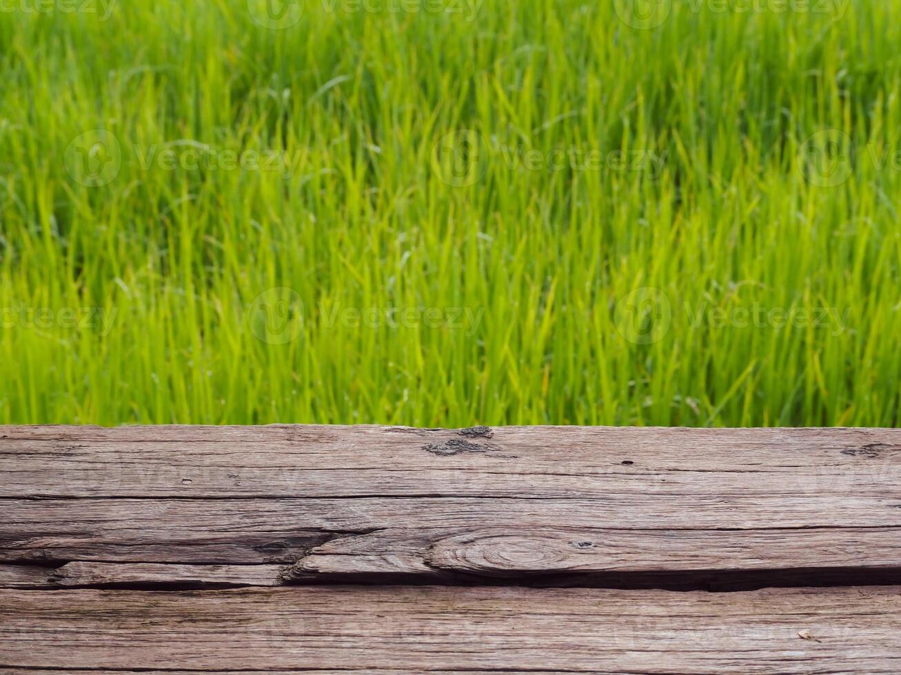 Old wooden planks at rice field, rustic vintage background photo