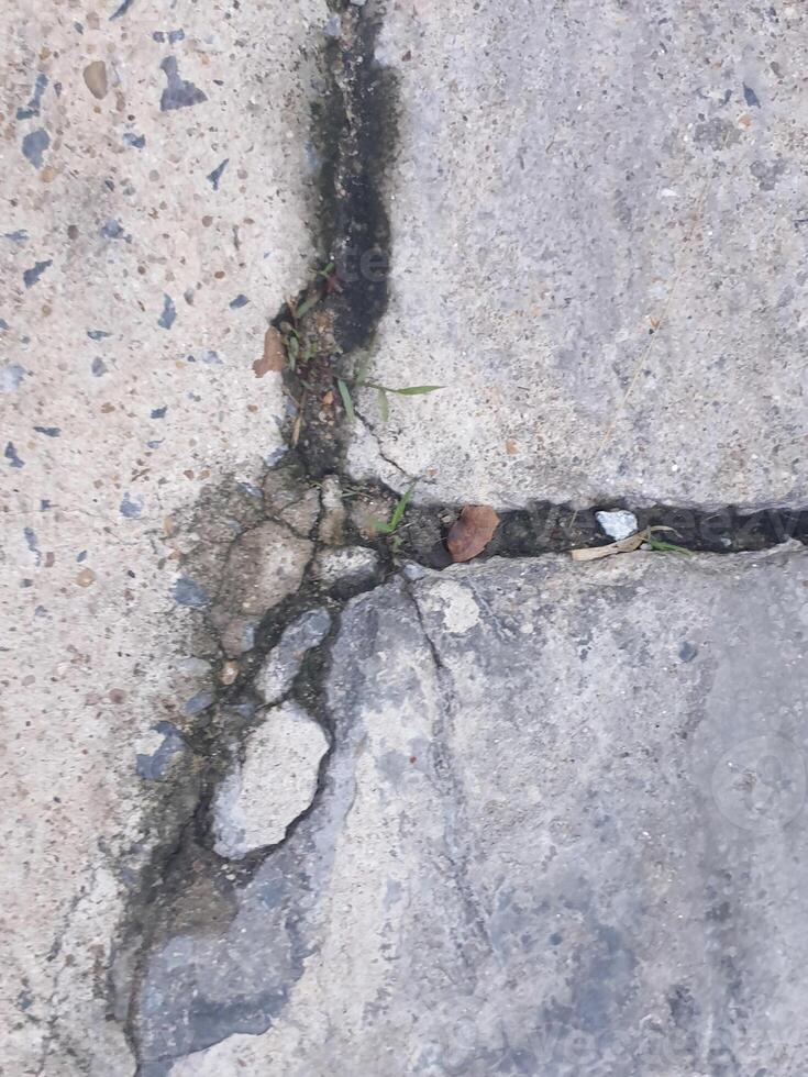 There were cracks in the road and there were two small grass plants. The cement floor was cracked, showing rocks and sand that were different in color and shape, creating strange new patterns. photo