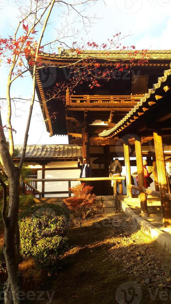 Japanese style pavilion in the evening sun The light hitting the pavilion shone with a very golden glow.Photography. photo