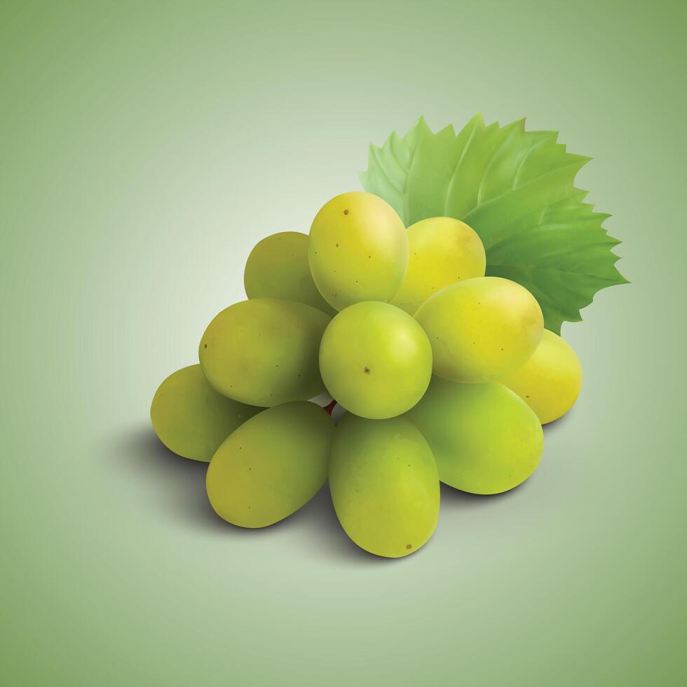 a green background with a bunch of grapes on it vector