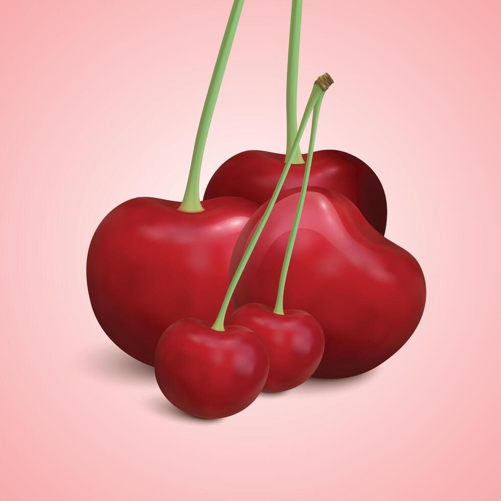 Realistic cherry set with green leaves on transparent background. vector