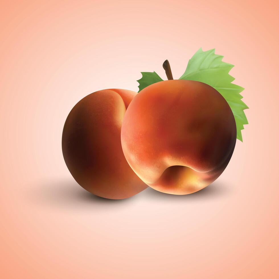 red apple icon with a green leaf. vector