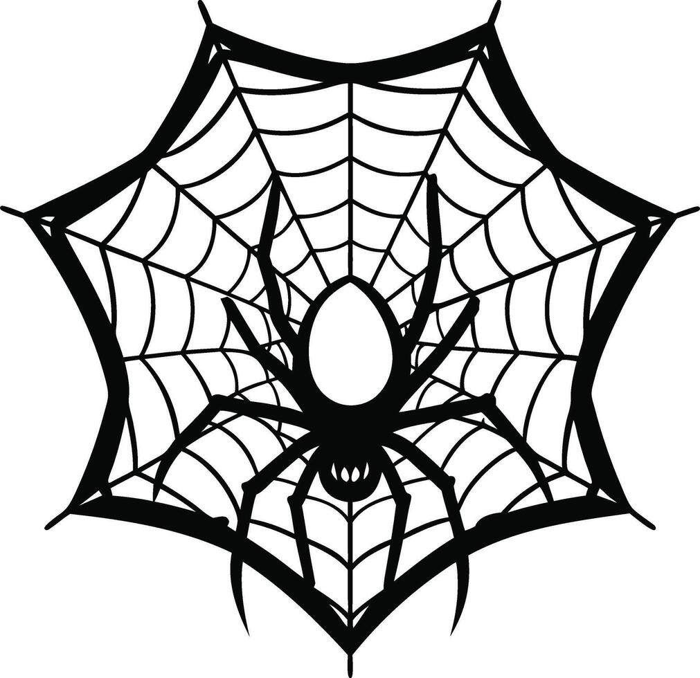 Spider web Black and white vector