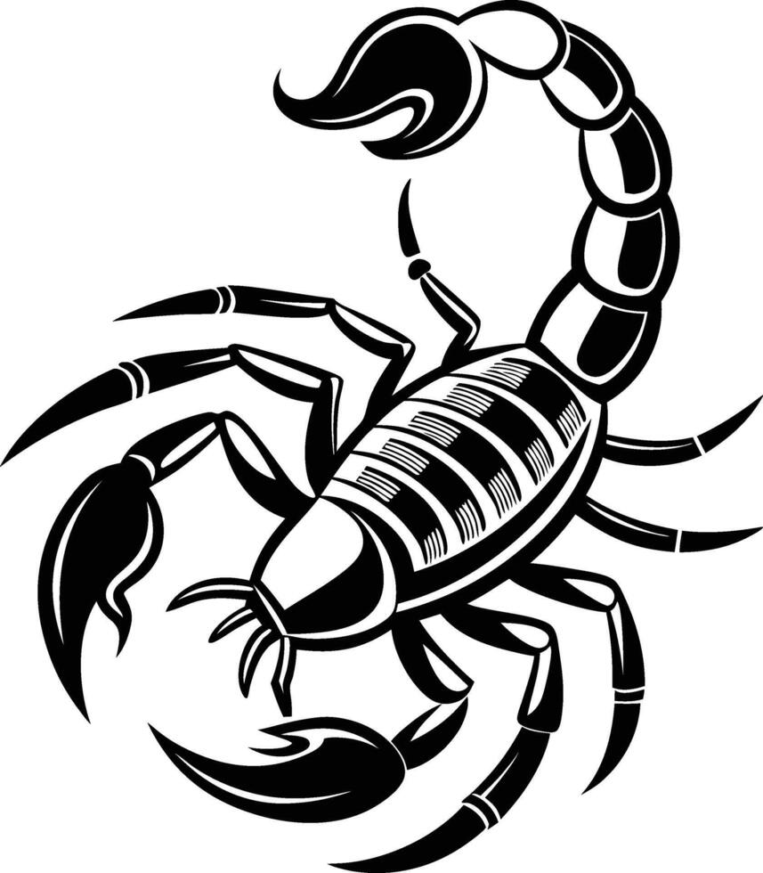 Scorpion Silhouette on white background vector